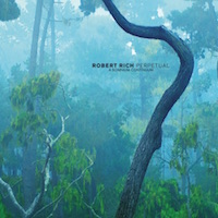 Link to the artist's website